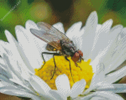 White Fly On The Flowers Diamond Painting