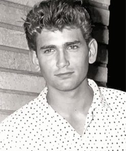 Young Michael Landon Diamond painting