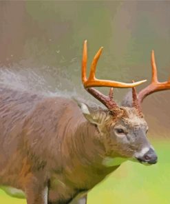 Adorable Deer In Rain Diamond Painting