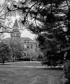 Black And White Michigan State University Diamond Painting