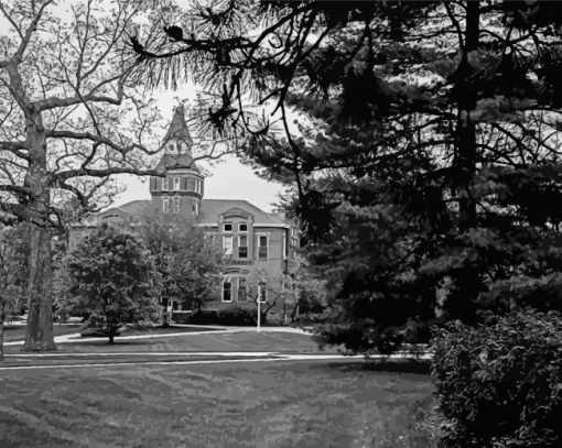 Black And White Michigan State University Diamond Painting