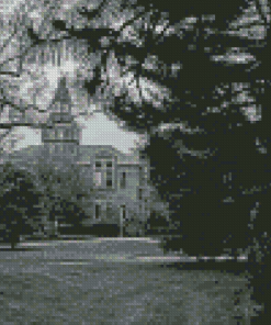 Black And White Michigan State University Diamond Painting