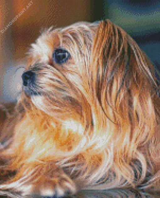 Blonde Shorkie Dog Diamond Painting