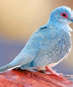 Diamond Dove Bird Diamond Painting