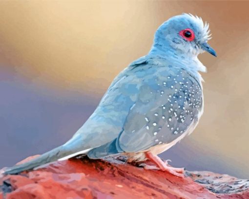 Diamond Dove Bird Diamond Painting