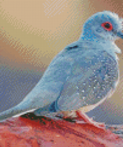 Diamond Dove Bird Diamond Painting