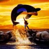 Free Willy Movie Diamond Painting