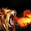 Lion Roaring Fire Diamond Painting