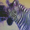 Purple Zebra Art Diamond Painting