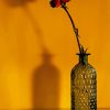 Red Flower In Bottle Diamond Painting