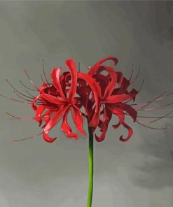 Red Spider Lily Flower Diamond Painting