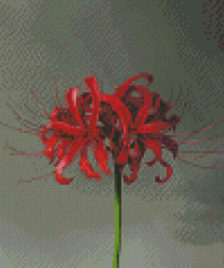 Red Spider Lily Flower Diamond Painting