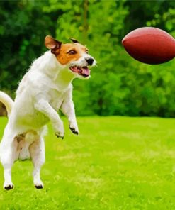 Aesthetic Dog Football Diamond Painting