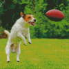 Aesthetic Dog Football Diamond Painting