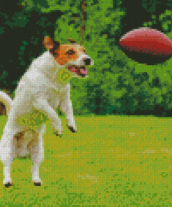 Aesthetic Dog Football Diamond Painting