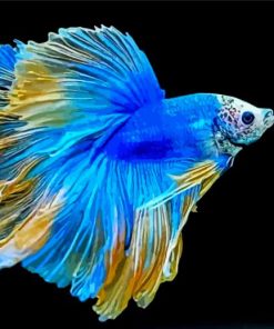 Blue Siamese Fighting Fish Diamond Painting