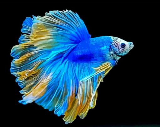 Blue Siamese Fighting Fish Diamond Painting