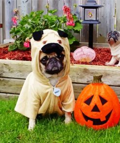 Cute Halloween Pug Diamond Painting