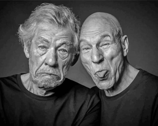 Patrick Stewart And Lan Mckellen Diamond Painting