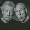 Patrick Stewart And Lan Mckellen Diamond Painting