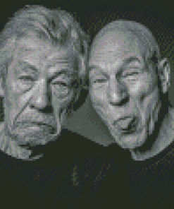 Patrick Stewart And Lan Mckellen Diamond Painting