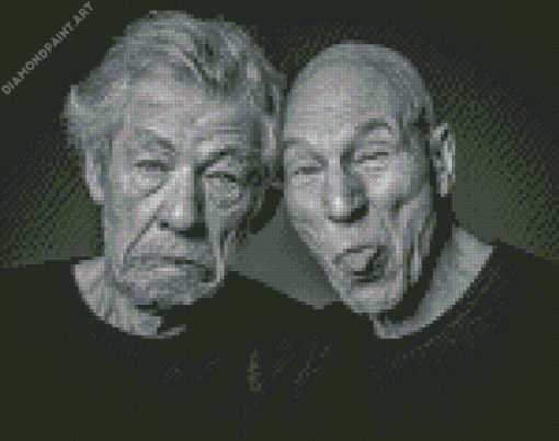 Patrick Stewart And Lan Mckellen Diamond Painting