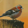 Pinson Bird Diamond Painting