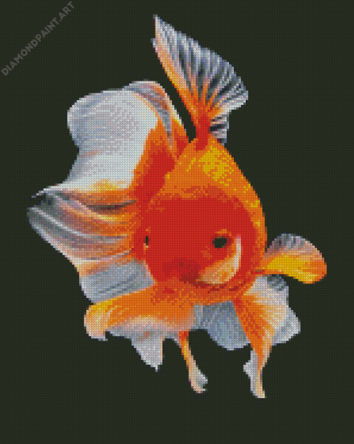 Red Elegant Fish Diamond Painting