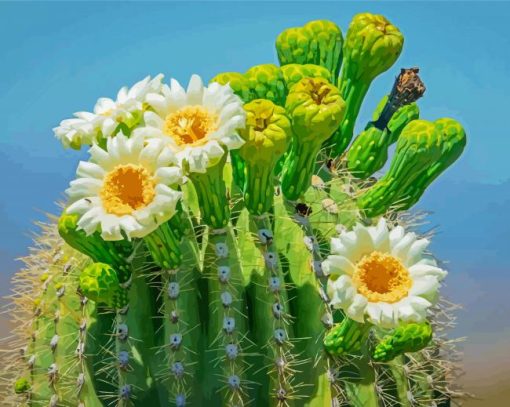 Saguaro Cactus Flower Diamond Painting