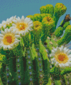 Saguaro Cactus Flower Diamond Painting