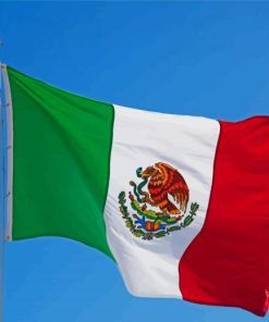 The Mexican Flag Diamond Painting