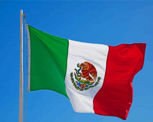 The Mexican Flag Diamond Painting