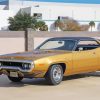 1971 Road Runner Diamond Painting