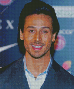 Actor Tiger Shroff Diamond Painting