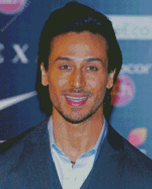 Actor Tiger Shroff Diamond Painting