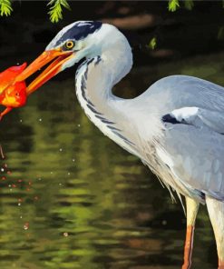 Aesthetic Great Blue Heron With Fish Diamond Painting