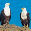 African Fish Eagles Diamond Painting