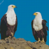 African Fish Eagles Diamond Painting