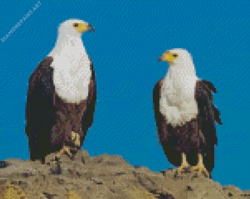 African Fish Eagles Diamond Painting