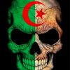 Algerian Skull Diamond Painting