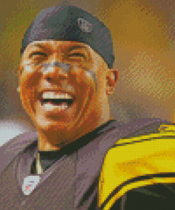 American Football Wide Receiver Hines Ward Diamond Painting