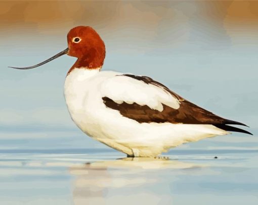 Avocet Birds Diamond Painting