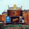 Baltimore Orioles Stadium Art Diamond Painting