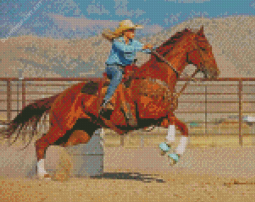 Barrel Racing 1 Diamond Paintings