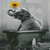 Black And White Elephant Bathing Diamond Painting