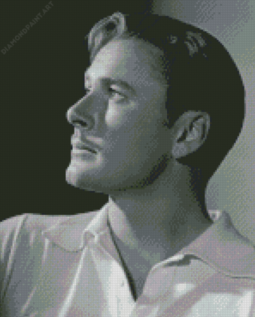 Black And White Errol Flynn Diamond Painting