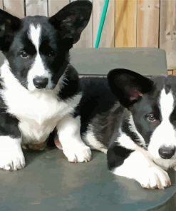 Black And White Corgi Dogs Diamond Painting