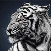 Black Bengal Tiger Diamond Painting