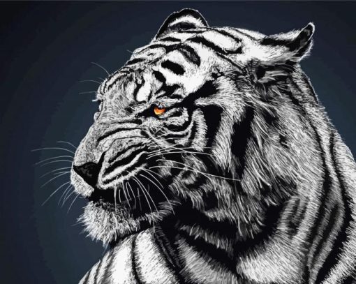 Black Bengal Tiger Diamond Painting