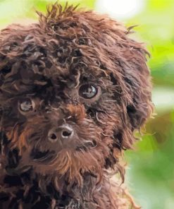 Black Poodle Puppy Face Diamond Painting